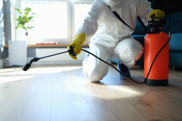 Reliable Blood Cleanup contractor in Mountain View, NC by Trauma Clean Pros